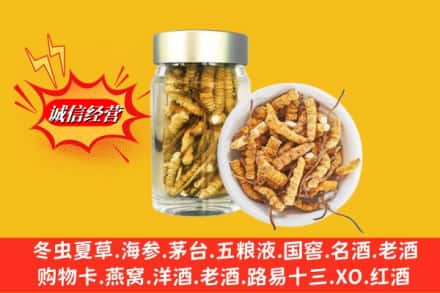 洛扎县回收散虫草