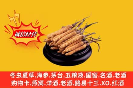 洛扎县求购回收虫草多少钱每克